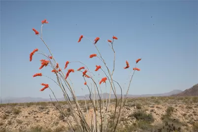 208-24-134 Cameron Road, Yucca, AZ 86438 - Photo 7