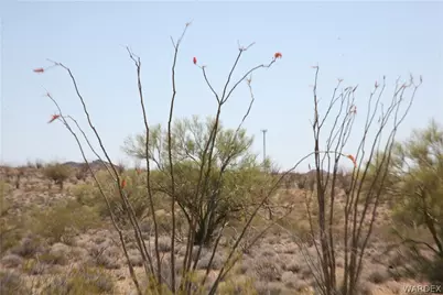 245-24-067A Lorton Drive, Yucca, AZ 86438 - Photo 31