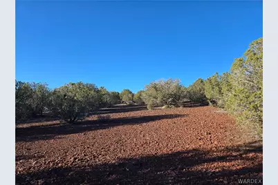 12 E Wapiti Dr., Kingman, AZ 86401 - Photo 3