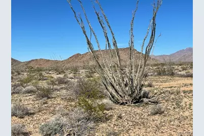 Lot 16 S Douglas, Yucca, AZ 86438 - Photo 1