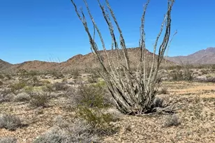 Lot 16 S Douglas, Yucca, AZ 86438 - Photo 1