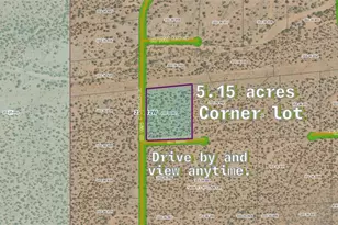 Lot 25 Catclaw Circle, Hackberry, AZ 86411 - Photo 1