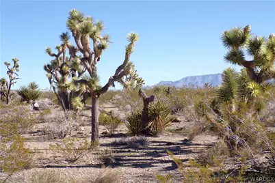 Lot 13 N Kingman Drive, Dolan Springs, AZ 86441 - Photo 19