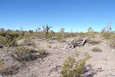 Lot 13 N Kingman Drive, Dolan Springs, AZ 86441 - Photo 9