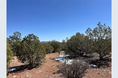 32984 W Doblar Circle, Seligman, AZ 86337 - Photo 11