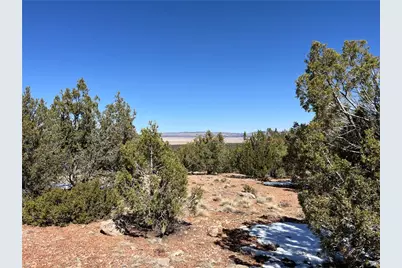 32984 W Doblar Circle, Seligman, AZ 86337 - Photo 3