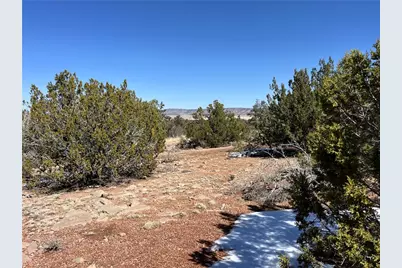 32984 W Doblar Circle, Seligman, AZ 86337 - Photo 5