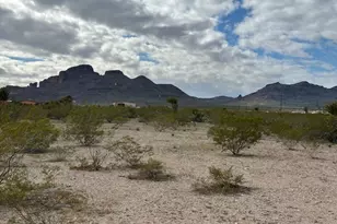 1225 S Dragoon Rd, Golden Valley, AZ 86413 - Photo 31