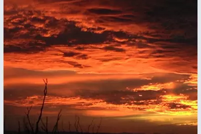 13811 S Alan Road, Yucca, AZ 86438 - Photo 3