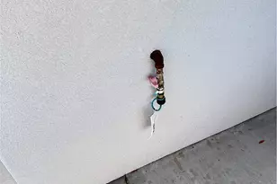 1750 Club House Dr Dr, Bullhead City, AZ 86442 - Photo 75