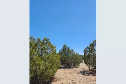 301-31-038E Roaming Way, Seligman, AZ 86337 - Photo 3