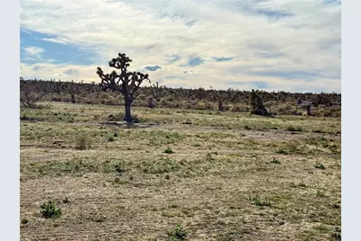 Lot 248 Olive, Dolan Springs, AZ 86441 - Photo 7