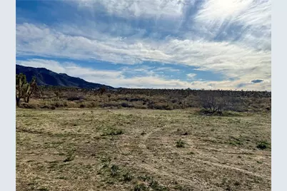 Lot 248 Olive, Dolan Springs, AZ 86441 - Photo 13