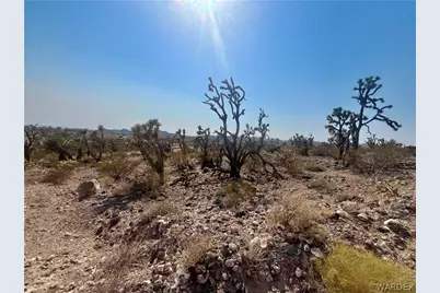 Lot 279 Mariposa Drive, Dolan Springs, AZ 86441 - Photo 15
