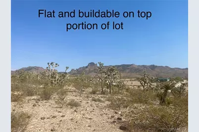 Lot 279 Mariposa Drive, Dolan Springs, AZ 86441 - Photo 5