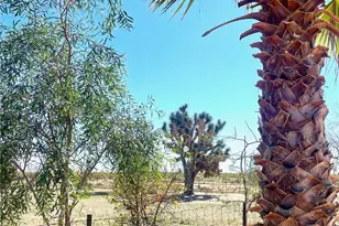 21477 S Sundance Kid Rd, Yucca, AZ 86438 - Photo 59