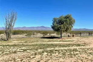 21477 S Sundance Kid Rd, Yucca, AZ 86438 - Photo 53