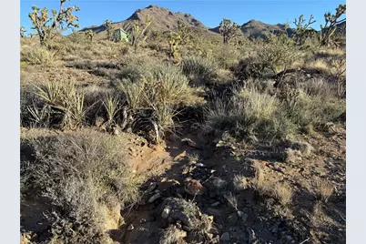 Lot 72 Pellet Drive, Dolan Springs, AZ 86441 - Photo 5