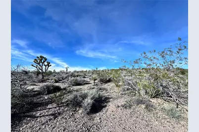 8145 W San Pablo Drive, White Hills, AZ 86445 - Photo 9