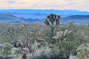 8161 W San Pablo Dr, White Hills, AZ 86445 - Photo 1