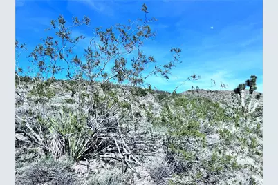 8161 W San Pablo Drive, White Hills, AZ 86445 - Photo 7