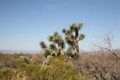 Lots 9 & 10 Martin Drive, Yucca, AZ 86438 - Photo 77