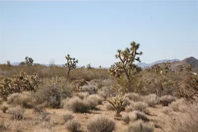 Lots 9 & 10 Martin Drive, Yucca, AZ 86438 - Photo 59