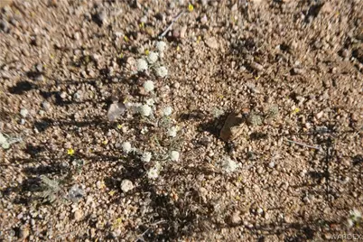 Lots 9 & 10 Martin Drive, Yucca, AZ 86438 - Photo 39