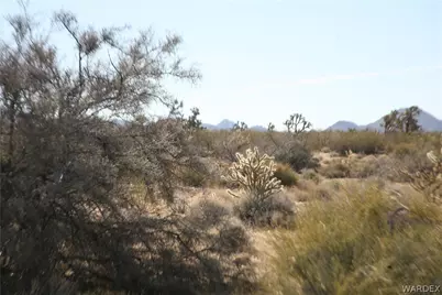 Lots 9 & 10 Martin Drive, Yucca, AZ 86438 - Photo 55