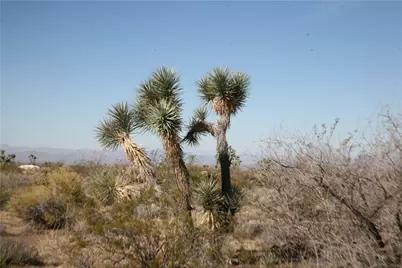 244-09-137A Martin Drive, Yucca, AZ 86438 - Photo 69