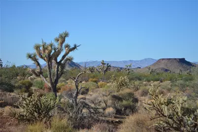 Lots 9 & 10 Martin Drive, Yucca, AZ 86438 - Photo 1