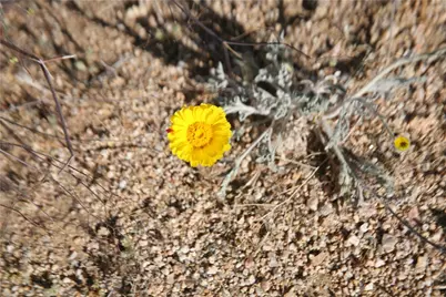 Lots 9 & 10 Martin Drive, Yucca, AZ 86438 - Photo 75