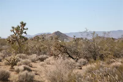 244-09-137A Martin Drive, Yucca, AZ 86438 - Photo 57