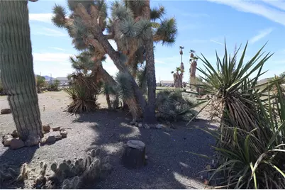3008 W McConnico Road, Golden Valley, AZ 86413 - Photo 27