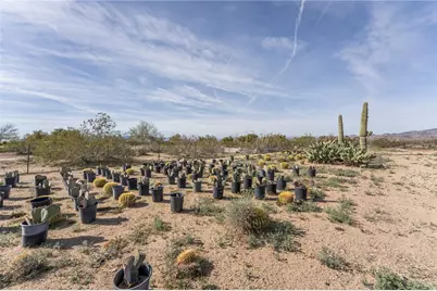 14158 S Calabasas Road, Yucca, AZ 86438 - Photo 95