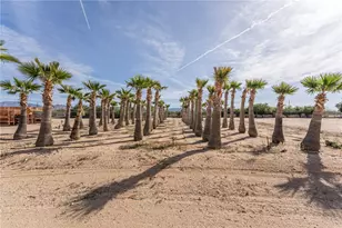 14158 S Calabasas Rd, Yucca, AZ 86438 - Photo 97