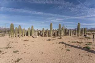 14158 S Calabasas Rd, Yucca, AZ 86438 - Photo 97