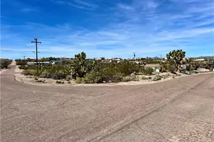 30105 N Surf Spray Dr, Meadview, AZ 86444 - Photo 1