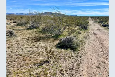00 N Vigil, Dolan Springs, AZ 86441 - Photo 13