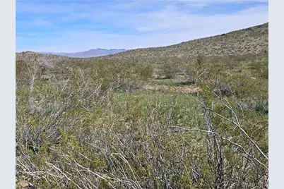 000 N Kanyr Road, Dolan Springs, AZ 86441 - Photo 3