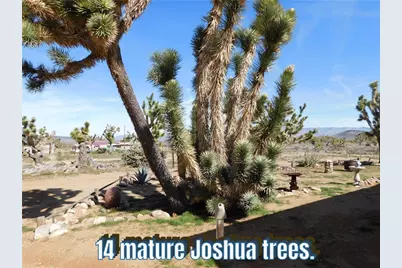 18417 N Sage Drive, Dolan Springs, AZ 86441 - Photo 3