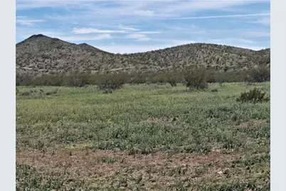 001 N Kanyr Road, Dolan Springs, AZ 86441 - Photo 21