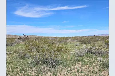 001 N Kanyr Road, Dolan Springs, AZ 86441 - Photo 15