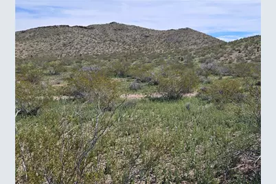 001 N Kanyr Road, Dolan Springs, AZ 86441 - Photo 3
