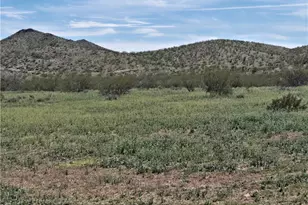 002 N Kanyr Rd, Dolan Springs, AZ 86441 - Photo 1