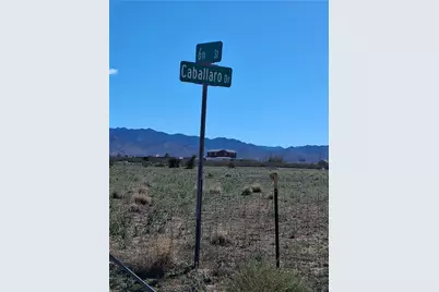 8872 W Sixth Street, Dolan Springs, AZ 86441 - Photo 3