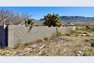 17305 N Lost Mine Drive, Dolan Springs, AZ 86441 - Photo 73