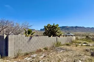 17305 N Lost Mine Dr, Dolan Springs, AZ 86441 - Photo 73