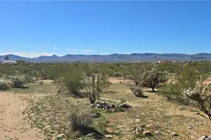 4842 N Gln Cyn Rd, Golden Valley, AZ 86413 - Photo 23