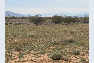 40 Ac Colorado Rd, Golden Valley, AZ 86413 - Photo 5